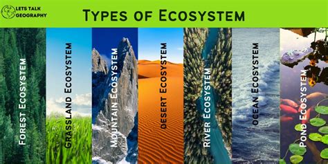 who are ecosystems similar to each other